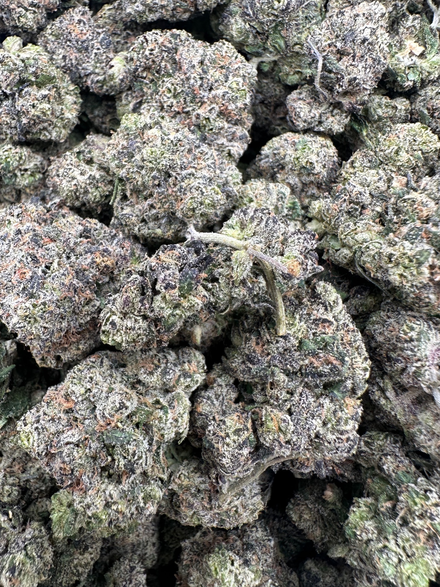 BLUEZ CANDY