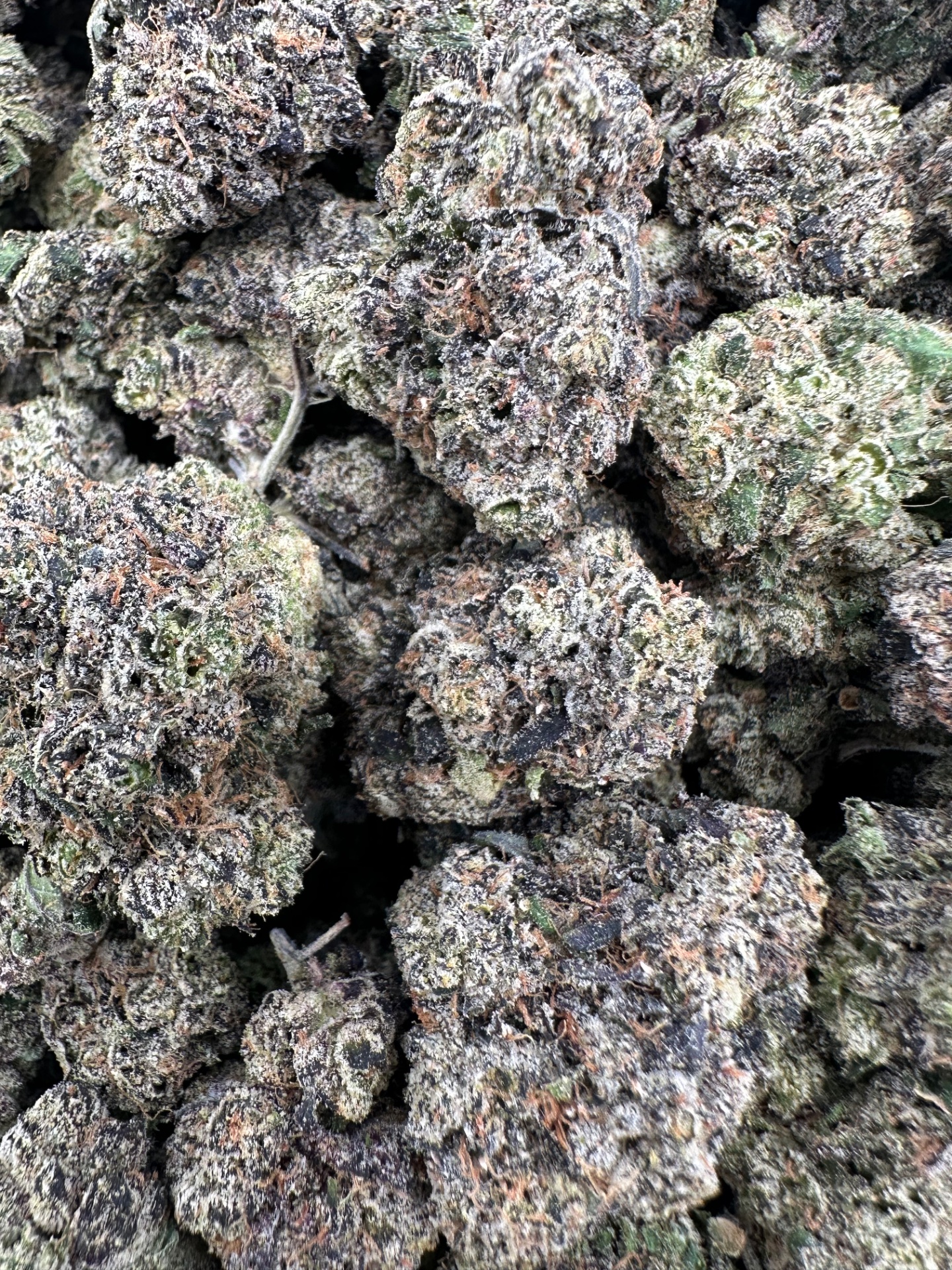 MAMBA CANDY