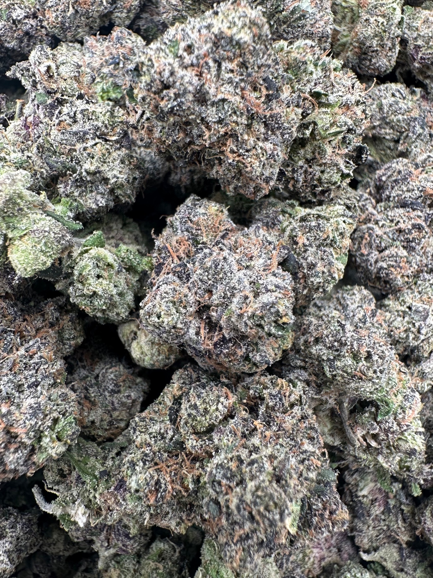 Nova Candy 