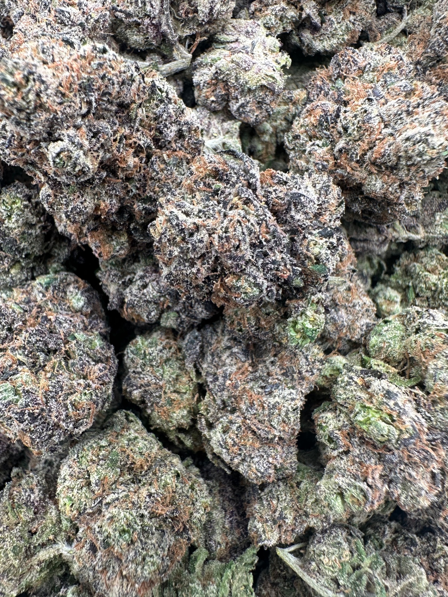 Lemon JawBreaker