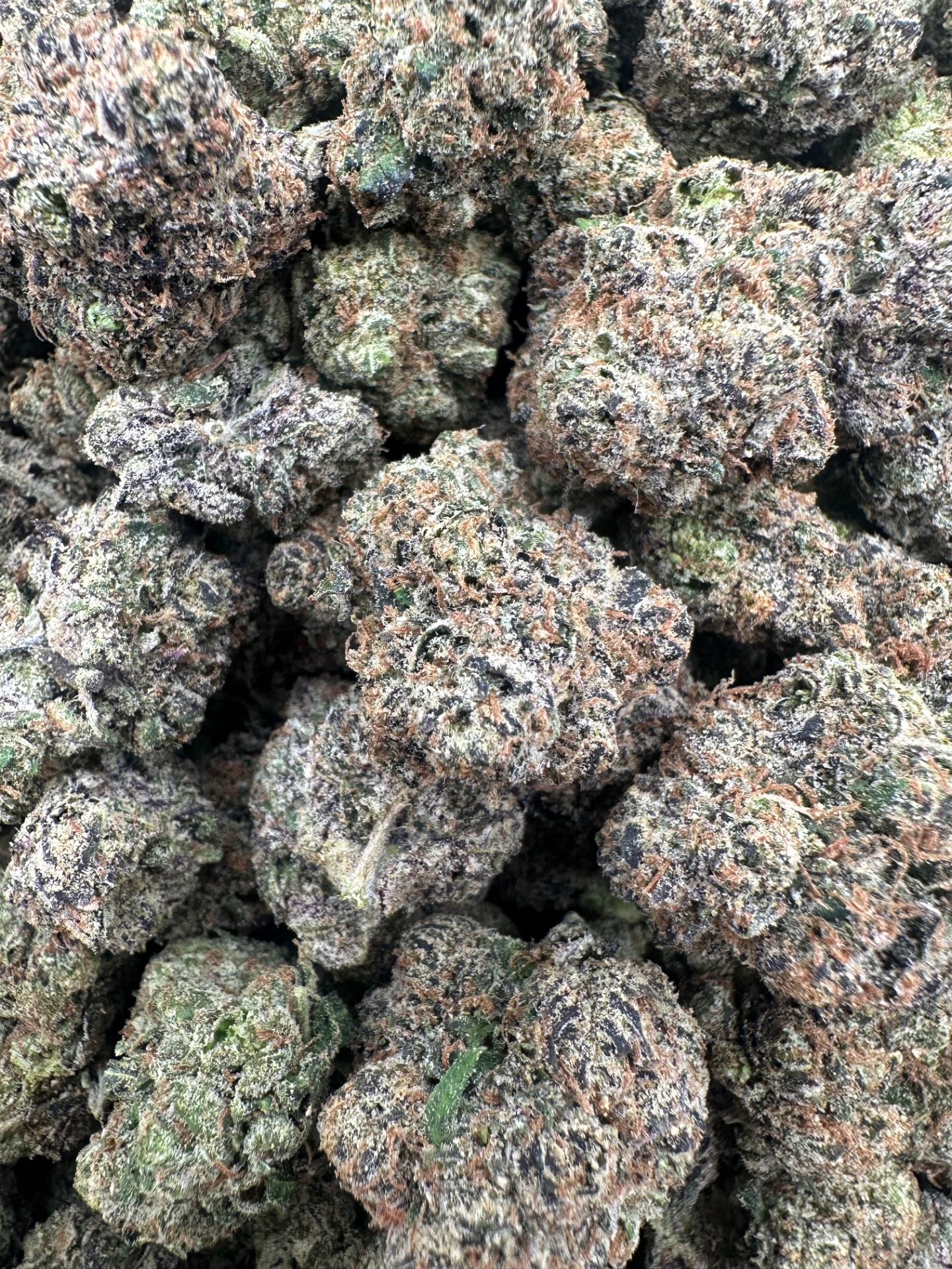 RAZZLE POPS 